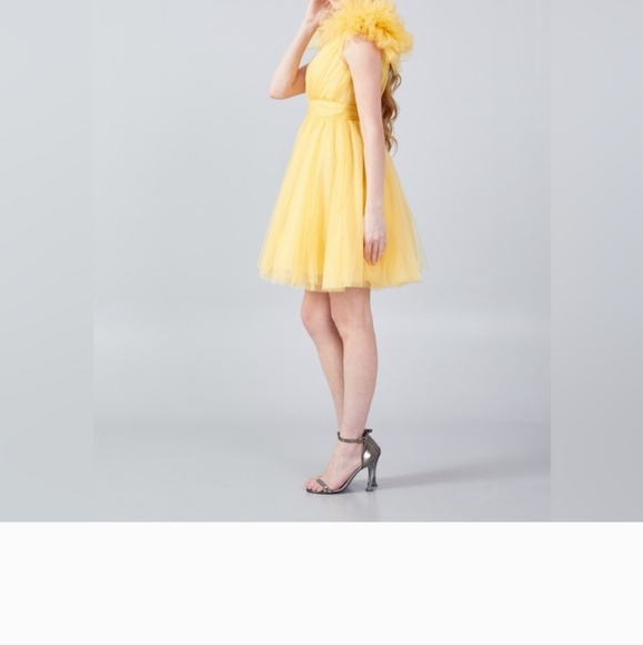 Mini Tulle Dress - Picture 14 of 16